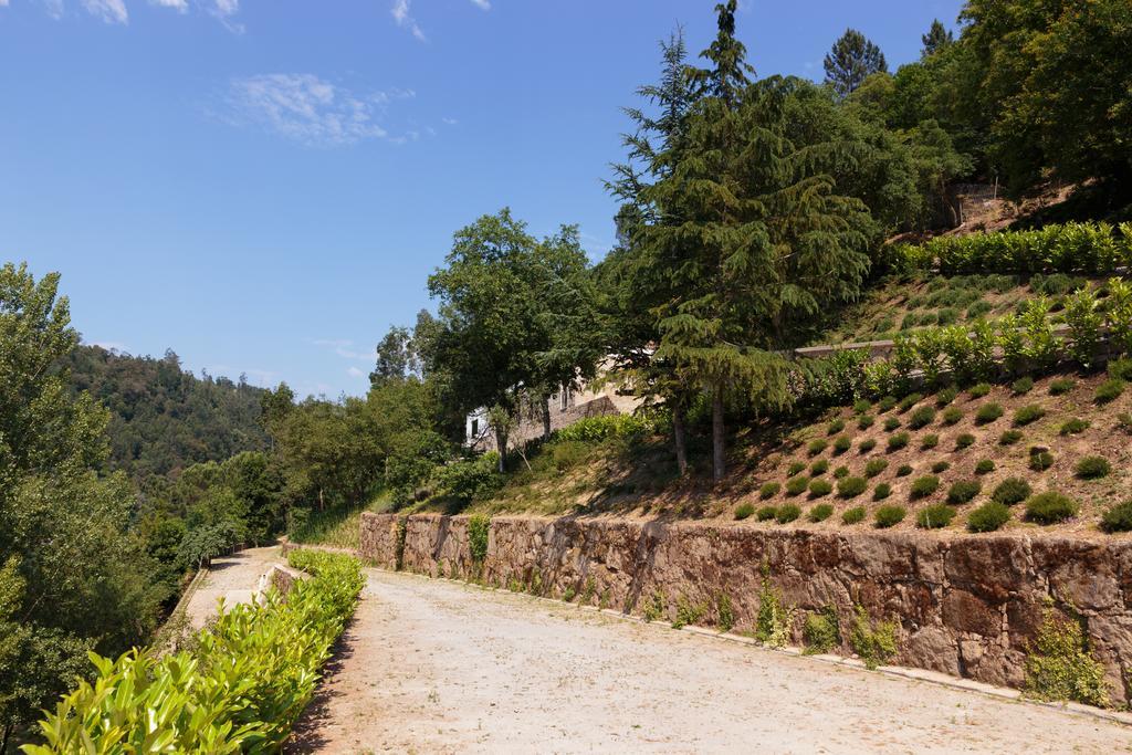 Douro Green Castelo de Paiva Eksteriør bilde