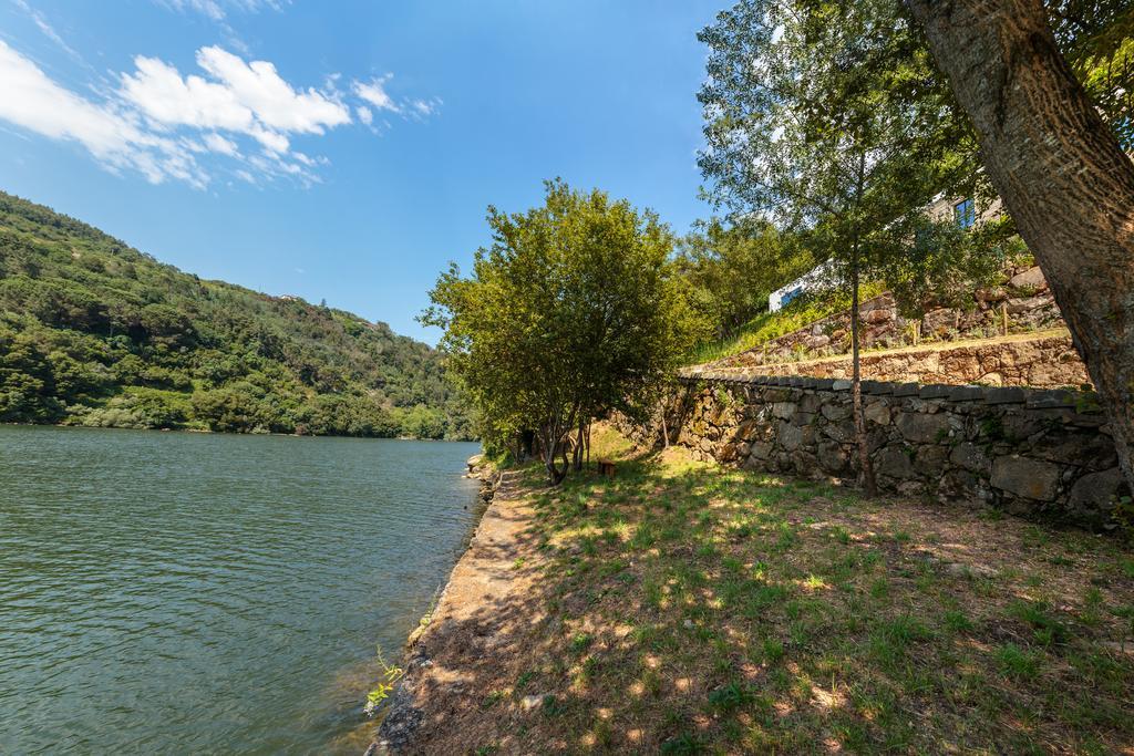 Douro Green Castelo de Paiva Eksteriør bilde